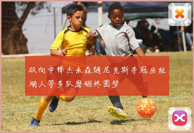 双向中锋杰米森随尼克斯夺冠历经湖人等多队磨砺终圆梦